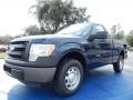 Blue Jeans 2014 Ford F150 XL Regular Cab Exterior