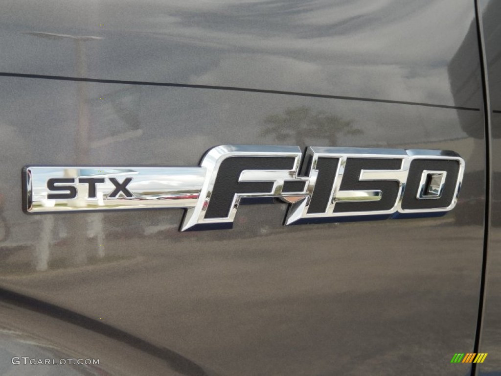 2014 F150 STX SuperCab - Sterling Grey / Steel Grey photo #5