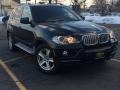 Black Sapphire Metallic - X5 4.8i Photo No. 3
