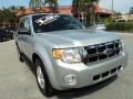 Ingot Silver Metallic - Escape XLT Photo No. 2