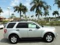 Ingot Silver Metallic - Escape XLT Photo No. 5
