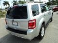Ingot Silver Metallic - Escape XLT Photo No. 6