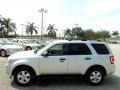 Ingot Silver Metallic - Escape XLT Photo No. 12