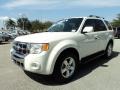 2012 White Suede Ford Escape Limited  photo #13