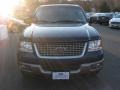 Medium Wedgewood Blue Metallic - Expedition Eddie Bauer 4x4 Photo No. 2