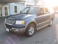 2004 Medium Wedgewood Blue Metallic Ford Expedition Eddie Bauer 4x4  photo #3