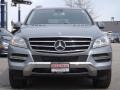 Paladium Silver Metallic - ML 350 4Matic Photo No. 2