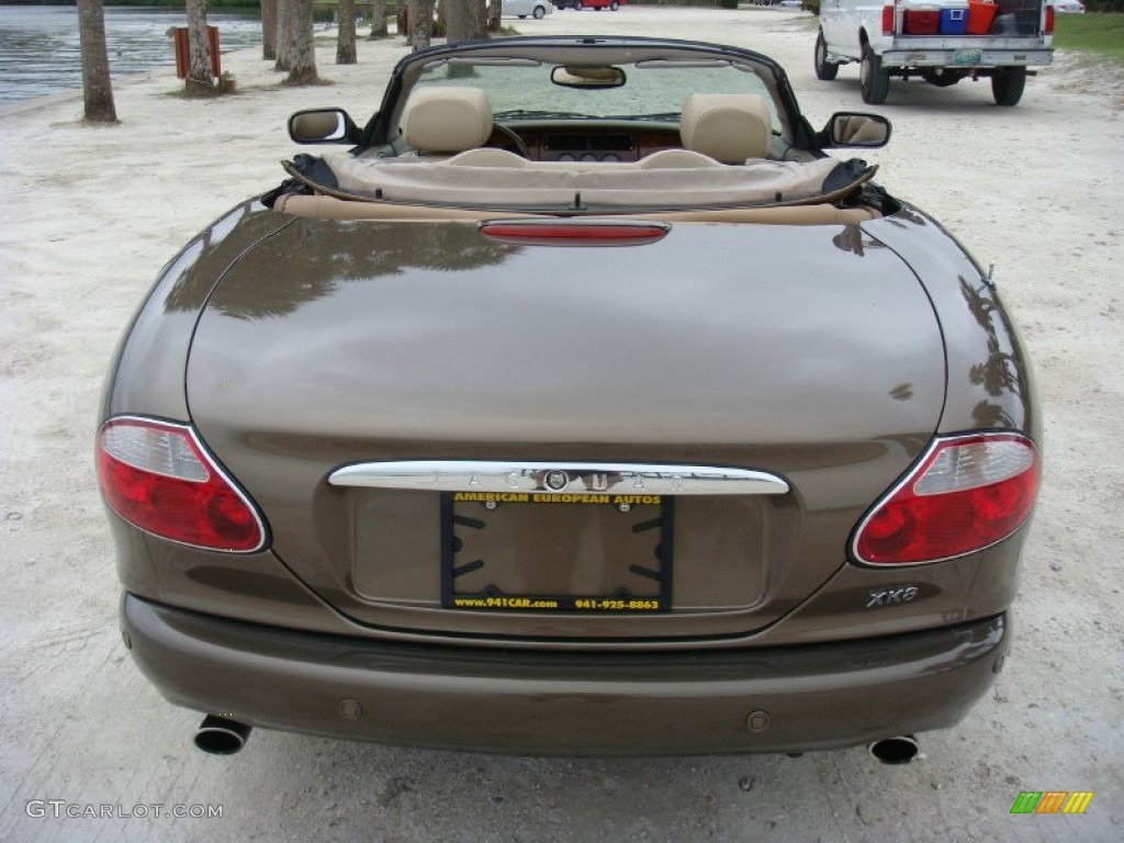 2001 XK XK8 Convertible - Roman Bronze / Oatmeal photo #6