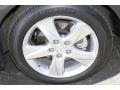 Graphite Luster Pearl - TSX Sedan Photo No. 22
