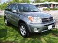 2004 Everglade Green Metallic Toyota RAV4 4WD  photo #4