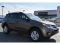 Pyrite Mica 2014 Toyota RAV4 LE