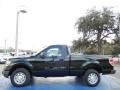 2014 Green Gem Ford F150 XL Regular Cab  photo #2