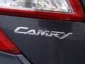 Magnetic Gray Metallic - Camry SE Photo No. 20