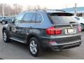 2013 Platinum Gray Metallic BMW X5 xDrive 50i  photo #5