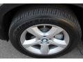 Platinum Gray Metallic - X5 xDrive 50i Photo No. 33