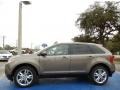 2014 Mineral Gray Ford Edge SEL  photo #2