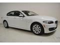 Alpine White 2014 BMW 5 Series 528i Sedan Exterior
