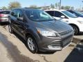 2014 Sterling Gray Ford Escape SE 2.0L EcoBoost  photo #1