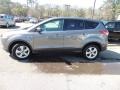 2014 Sterling Gray Ford Escape SE 2.0L EcoBoost  photo #2