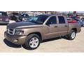Austin Tan Pearl Coat 2010 Dodge Dakota Big Horn Crew Cab 4x4