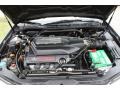 Nighthawk Black Pearl - TL 3.2 Type S Photo No. 37