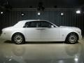 Arctic White - Phantom  Photo No. 17