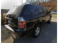 Nighthawk Black Pearl - MDX  Photo No. 4
