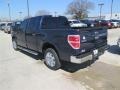 2014 Blue Jeans Ford F150 XLT SuperCrew  photo #4