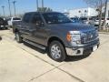 2014 Sterling Grey Ford F150 XLT SuperCrew  photo #6