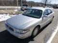 Sterling Silver Metallic - LeSabre Custom Photo No. 4