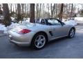 Platinum Silver Metallic - Boxster S Photo No. 6