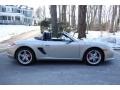 Platinum Silver Metallic - Boxster S Photo No. 7