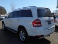 Arctic White - GL 450 4Matic Photo No. 6