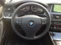 2014 Dark Graphite Metallic BMW 5 Series 528i Sedan  photo #9