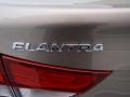 2014 Bronze Hyundai Elantra SE Sedan  photo #14