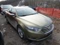 2013 Ginger Ale Metallic Ford Taurus Limited #91047775