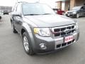 2009 Sterling Grey Metallic Ford Escape Limited 4WD  photo #2