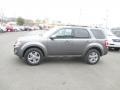 2009 Sterling Grey Metallic Ford Escape Limited 4WD  photo #4