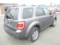 2009 Sterling Grey Metallic Ford Escape Limited 4WD  photo #30