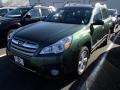 Cypress Green Pearl - Outback 2.5i Premium Photo No. 1