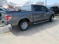 2014 Sterling Grey Ford F150 XLT SuperCrew  photo #5