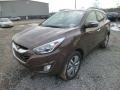 Kona Bronze 2014 Hyundai Tucson Limited Exterior