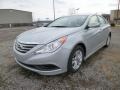 Radiant Silver - Sonata GLS Photo No. 3