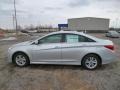 Radiant Silver - Sonata GLS Photo No. 4