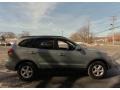 2008 Natural Khaki Green Hyundai Santa Fe GLS  photo #8