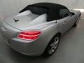 Silver Pearl - Sky Roadster Photo No. 6