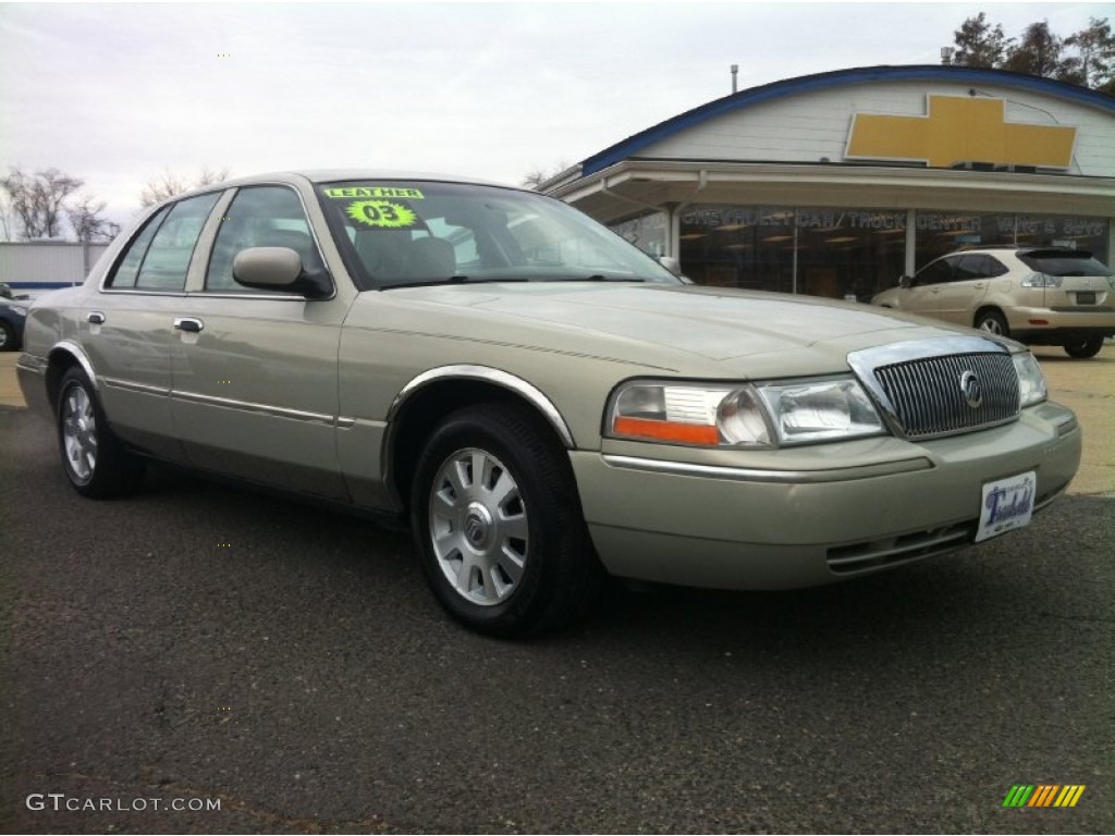 2003 Grand Marquis LS - Arizona Beige Metallic / Medium Parchment photo #6