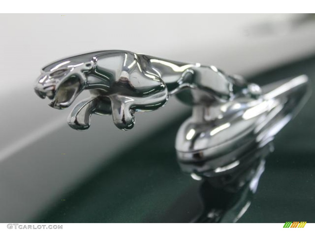 2004 Jaguar X-Type 3.0 Marks and Logos Photo #91088383