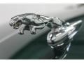 Jaguar Orniment