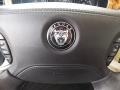 2007 Jaguar XJ Barley Interior Steering Wheel Photo